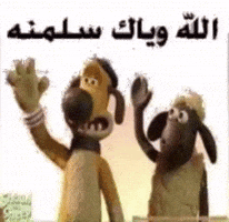 ميمز GIF