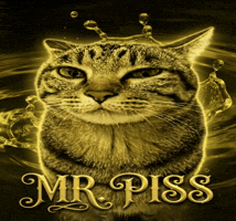 Toilet Cat Meme GIF