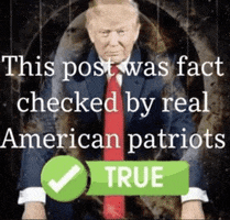 Fact Check Trump GIF by Feluko