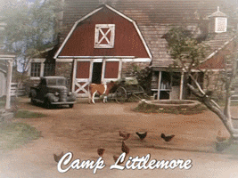 Camp Littlemore GIF