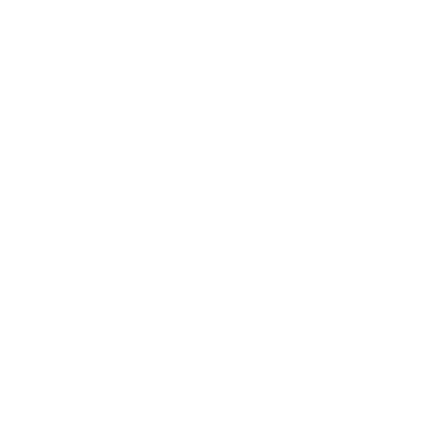 Bzzannecy Sticker