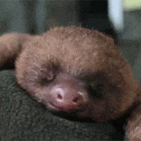 200.gif?cid=f0bdee701mgvy1z3u79nwwgn27a2ahx210e3a19p919bfe3r&rid=200.gif&ct=g