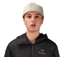 THE HEAT COMPANY Sticker