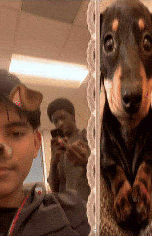 Bonquavion GIF