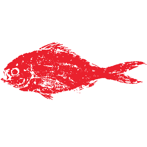 Rainbow Fish Sticker By Gyotaku Gif