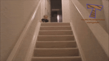 mateuszmokrynka  GIF