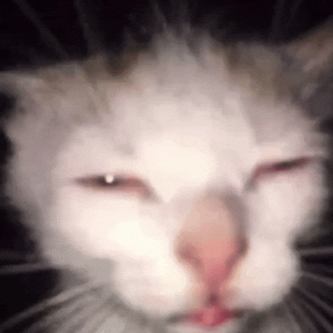 Squinting For Real GIF