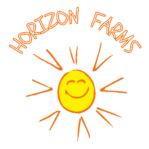 Sun 太陽 Sticker by horizon farms