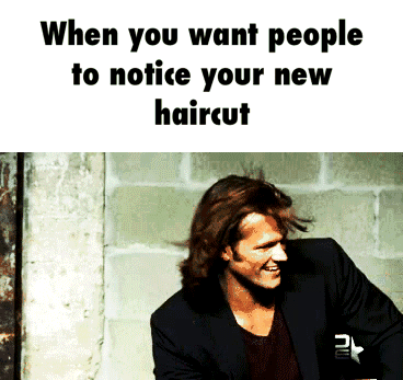 Haircut GIF - Find & Share on GIPHY
