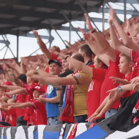 Football Soccer GIF by Widzew Łódź