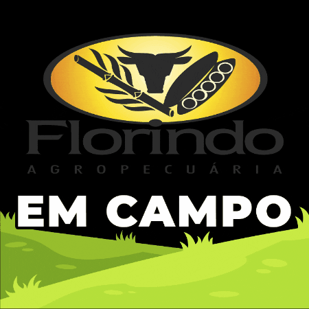 Grupo Florindo Agropecuária GIF