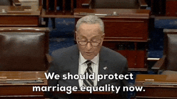Marriage Equality Lgbtq Rights GIF by GIPHY News