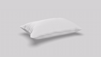 Flood Protection GIF