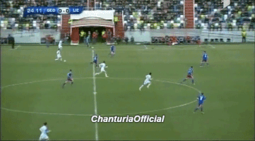 zukarukhadze  GIF
