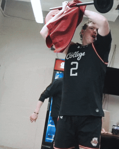 College Of Charleston Cougars GIF by Charleston Basketball