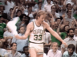 NBA nba yes cheering boston celtics GIF