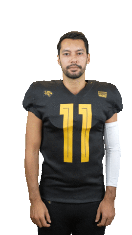 Léopards de Rouen - Football Américain Sticker