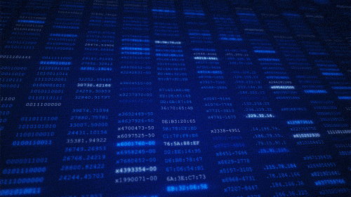 Coding Internet Security GIF by Matthew Butler - Find & Share on GIPHY