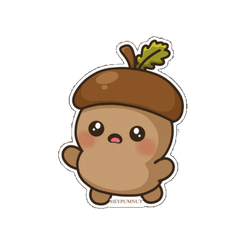 Acorn Omg Sticker