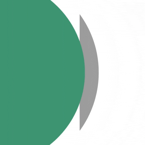 Startup College GIF