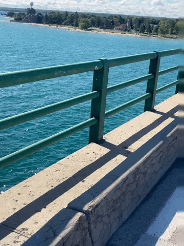 Michigan GIF