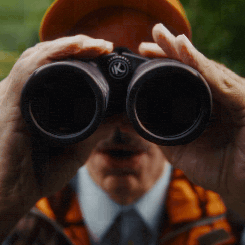 Hank Hankook GIF by HankookEurope