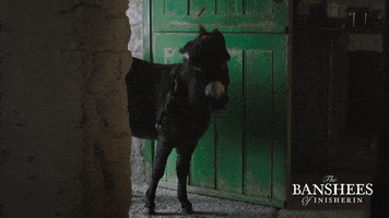Donkey Banshees GIF by Searchlight Pictures