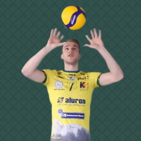 Ball Volleyball GIF by Aluron CMC Warta Zawiercie