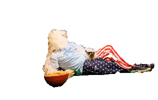 Eagle Sticker by RepealDay