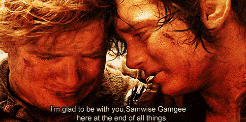 Image result for samwise gamgee gif
