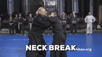 ninjutsu neck break GIF by AKBAN Academy