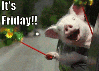 Video gif. An animatronic pig has his head out of a car window with a huge smile on its face. It holds two green, yellow, and red pinwheels that rapidly spin in the wind. The pig waves them around excitedly. The text says, “It’s Friday!!"