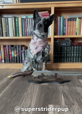 Lord Of The Rings Sword GIF by Geekster Pets