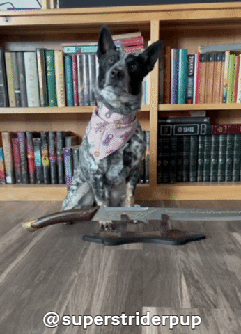 Lord Of The Rings Sword GIF by Geekster Pets
