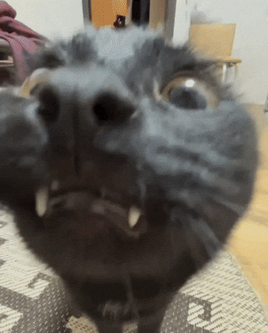 Screaming Big Eyes GIF