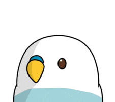 Serious Budgie GIF by MG