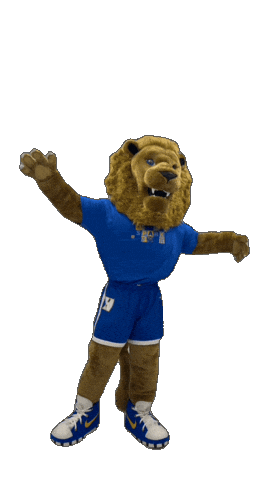 New York Hofstrau Sticker by Hofstra University