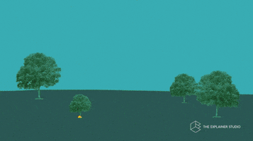Animation Trees GIF by The Explainer Studio