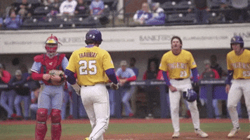 Home Run Baseball GIF by LSU Tigers