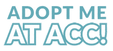 Adoption Adopt Sticker by nycacc