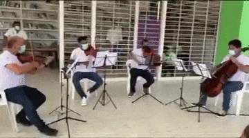 camerataheroica colombia cartagena orquesta sinfonica GIF