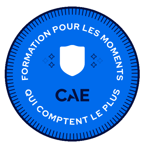 French Formation Sticker by CAE