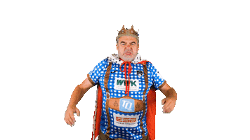 Sport Bundesliga Sticker by WWK Volleys Herrsching