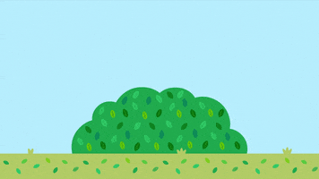 Great Outdoors Trees GIF by Hey Duggee