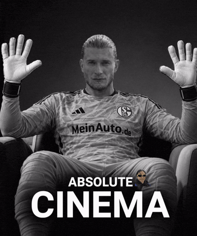 Schalke 04 Bundesliga GIF