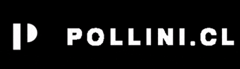 Brand Moda GIF by Pollini