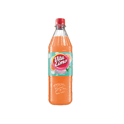 Sommer Limo Sticker by Vita Cola