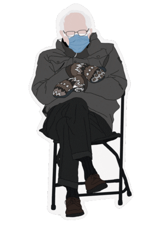 Bernie Sticker
