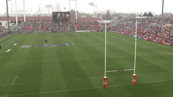 bencoles-247b  GIF