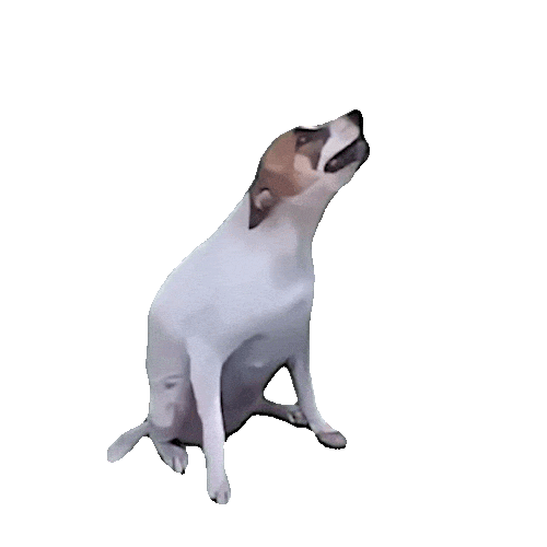 Dance Dancing Sticker